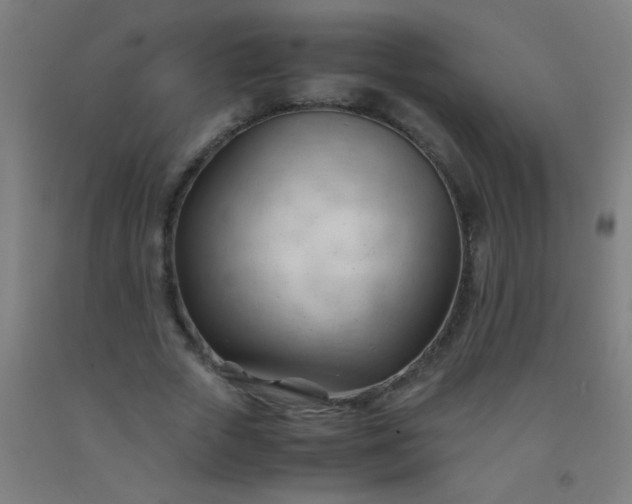 X0000092310729200709281346