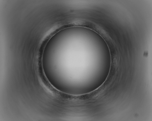 X0000092310730200709281346