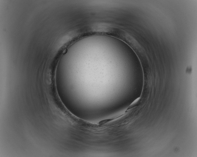 X0000092310731200709281346