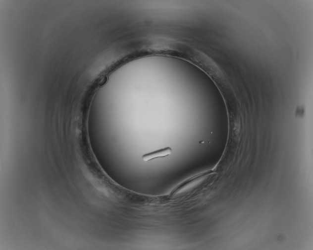 X0000092310732200709281346