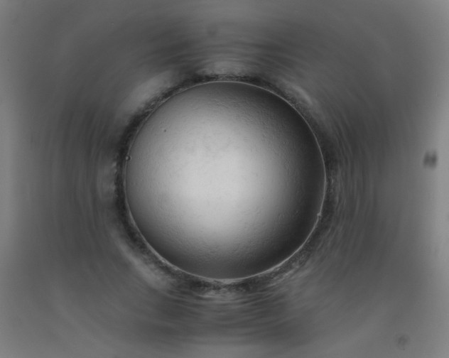 X0000092310735200709281346