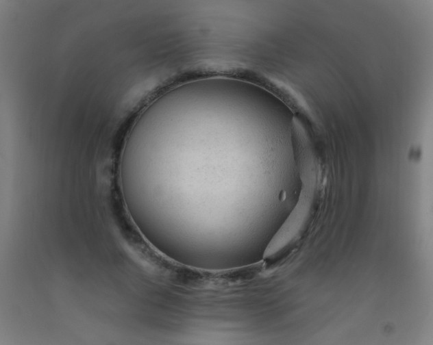 X0000092310736200709281346