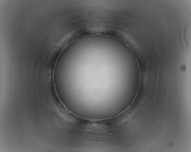 X0000092310737200709281346