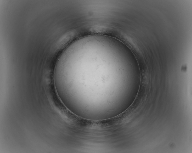 X0000092310738200709281346