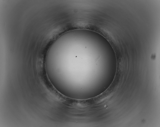 X0000092310739200709281346