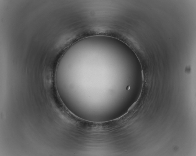 X0000092310740200709281346