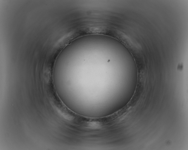 X0000092310741200709281346