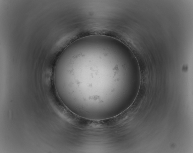 X0000092310742200709281346