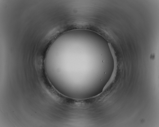 X0000092310744200709281346