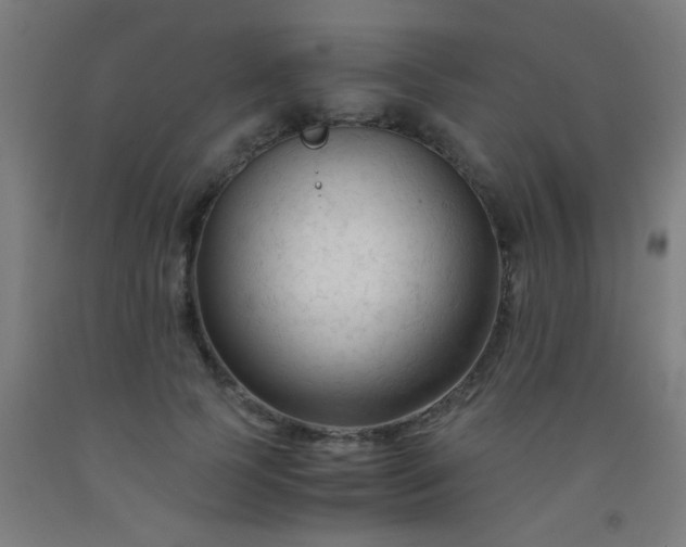 X0000092310745200709281346
