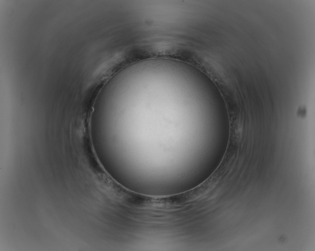 X0000092310746200709281346