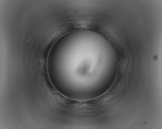 X0000092310747200709281346