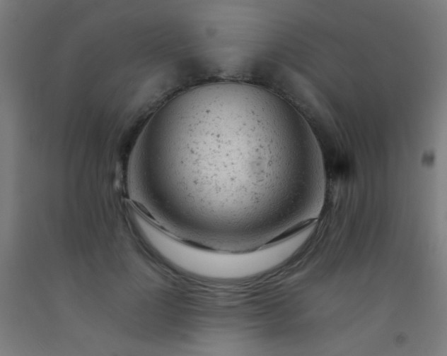 X0000092310748200709281346