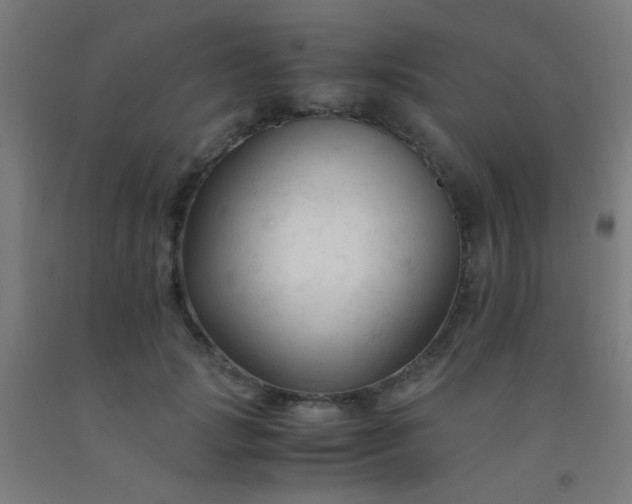 X0000092310749200709281346