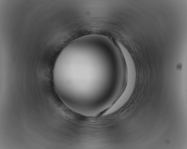 X0000092310750200709281346