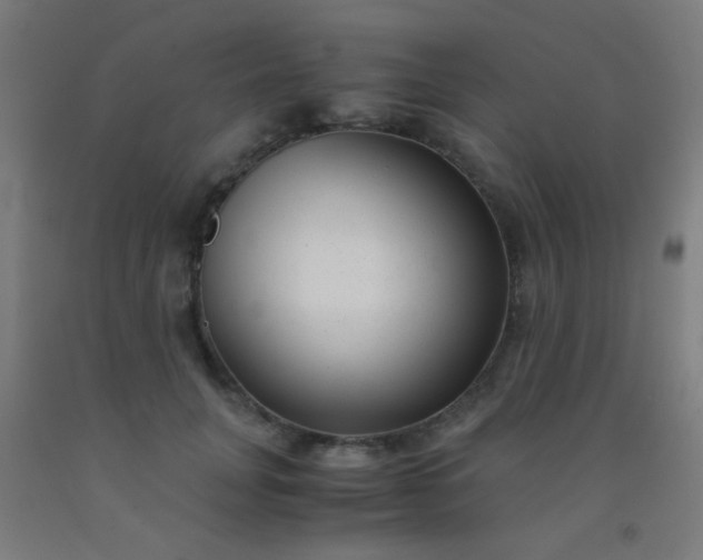 X0000092310751200709281346