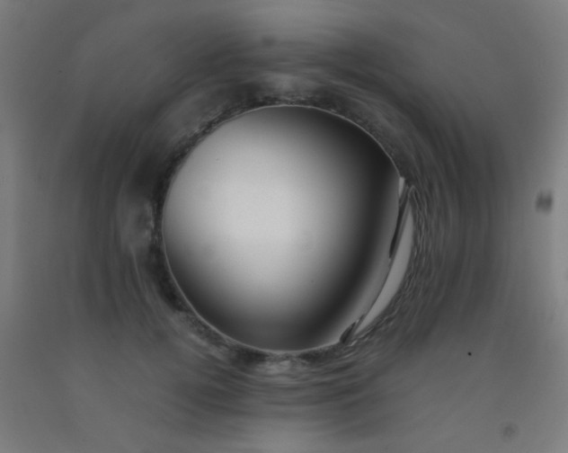 X0000092310752200709281346