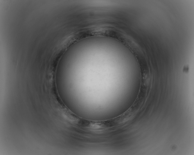 X0000092310753200709281346