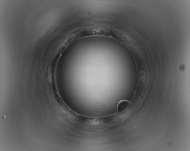 X0000092310754200709281346