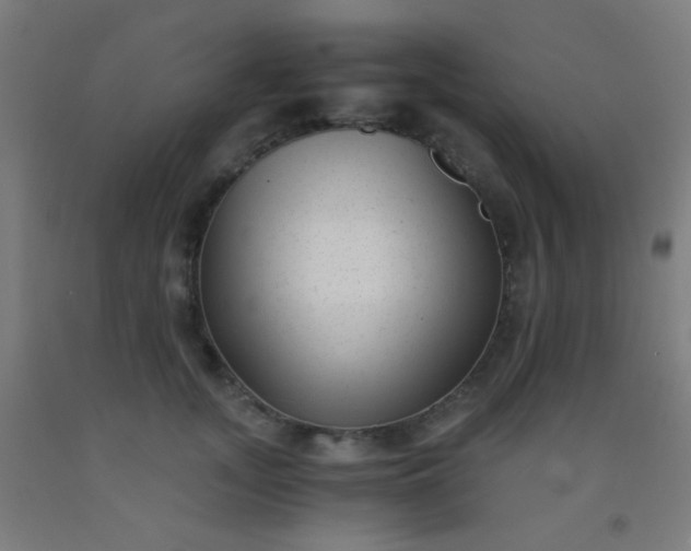 X0000092310755200709281346
