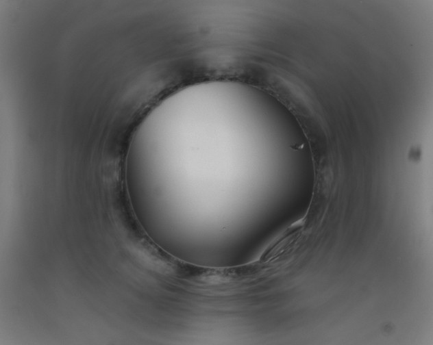 X0000092310756200709281346