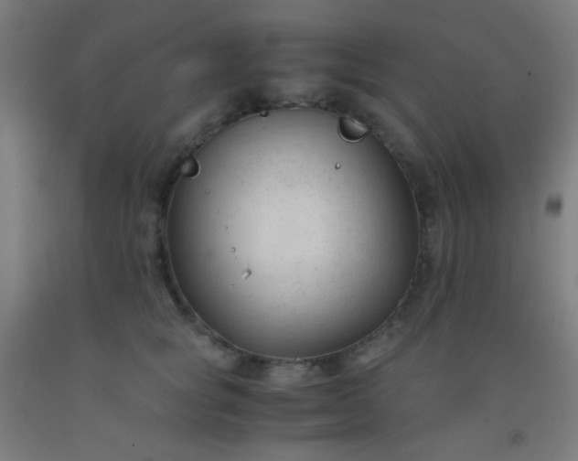 X0000092310757200709281346