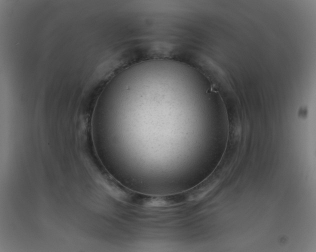 X0000092310759200709281346
