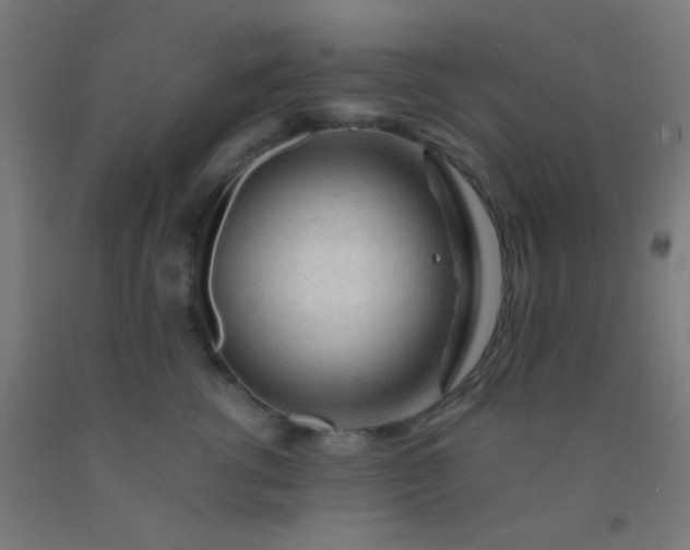 X0000092310762200709281346