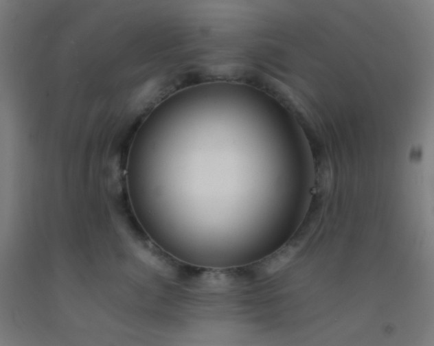 X0000092310764200709281346