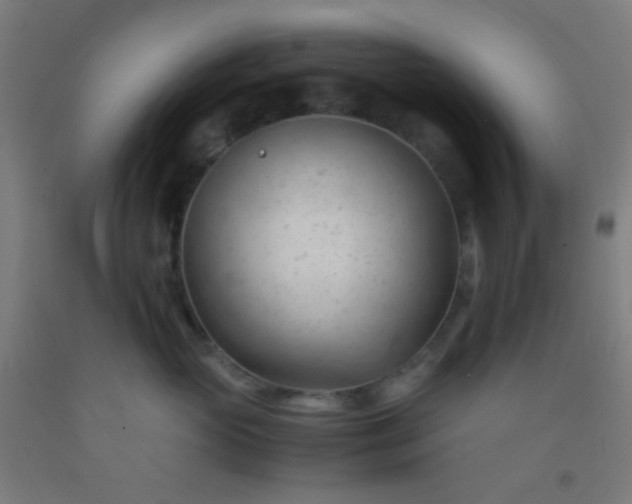 X0000092310765200709281346