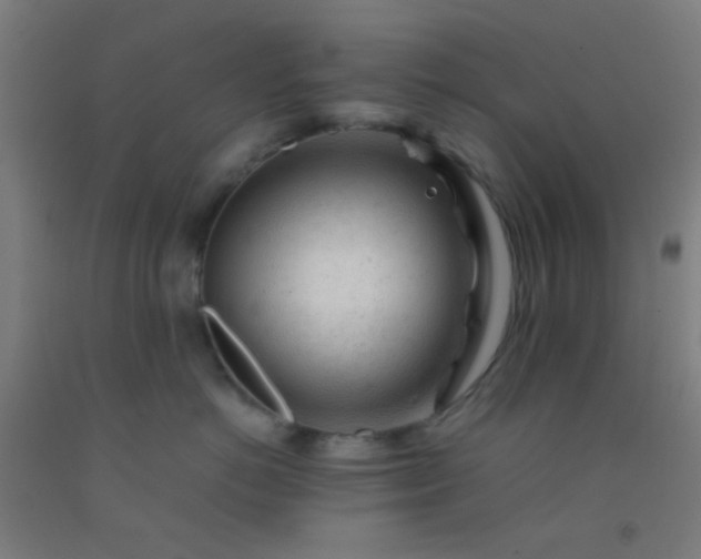 X0000092310766200709281346