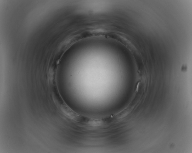 X0000092310767200709281346