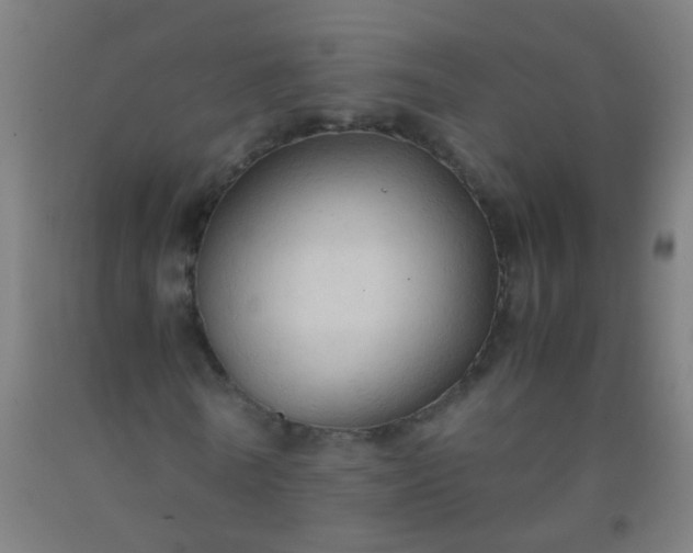 X0000092310770200709281345