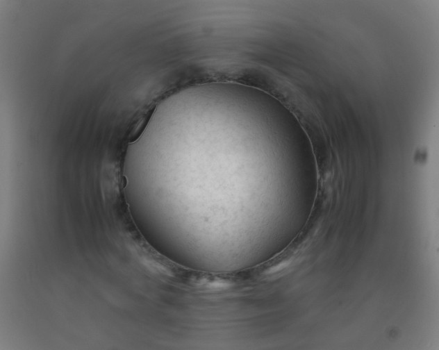 X0000092310772200709281345