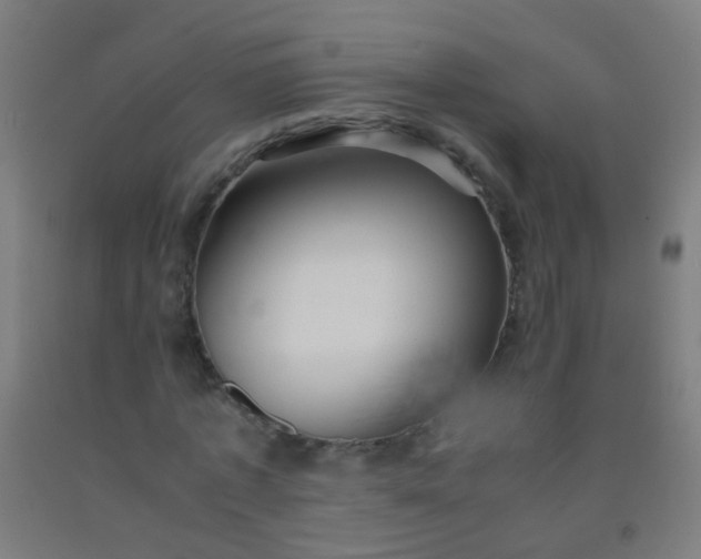 X0000092310773200709281345