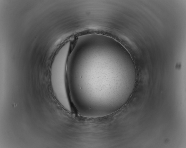 X0000092310776200709281345