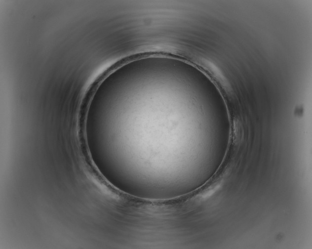 X0000092310780200709281345
