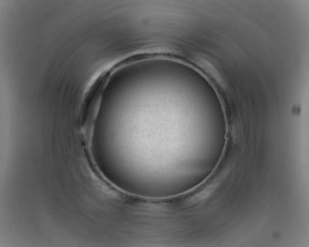 X0000092310781200709281345