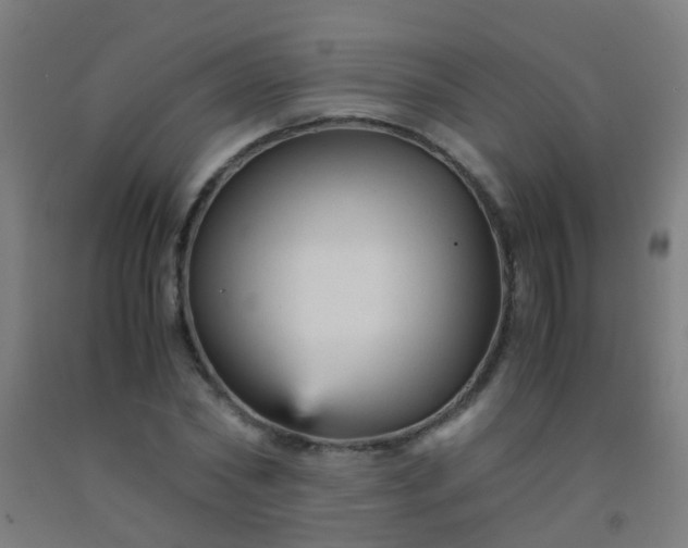 X0000092310782200709281345