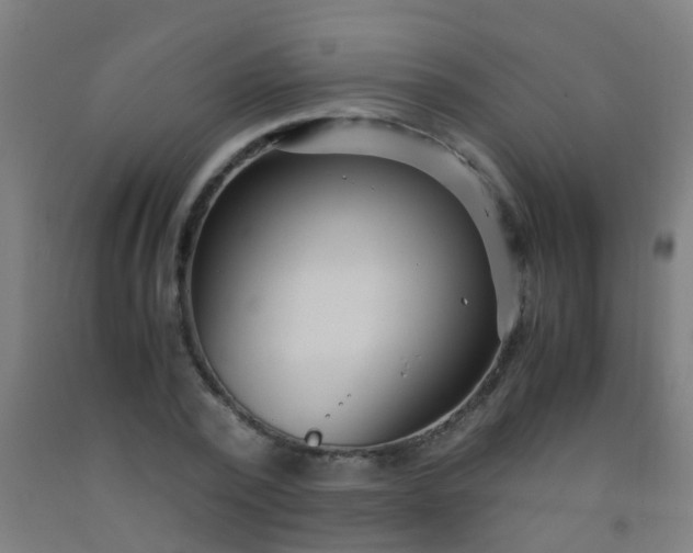 X0000092310784200709281345