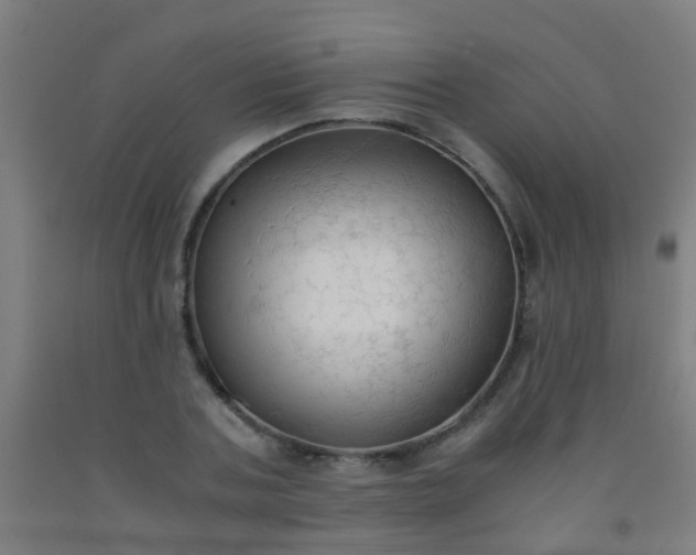 X0000092310787200709281345