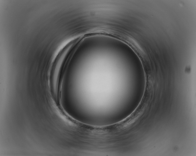 X0000092310788200709281345