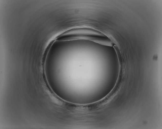X0000092310789200709281345