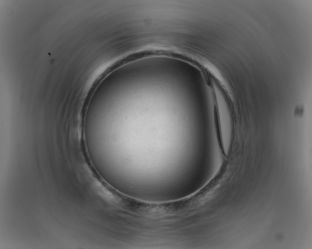X0000092310791200709281345