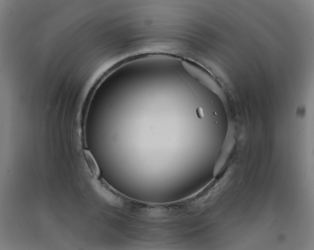 X0000092310792200709281345