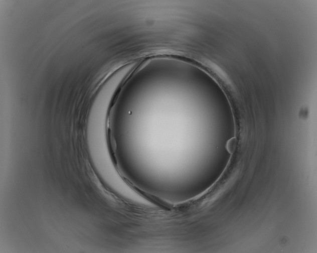 X0000092310793200709281345