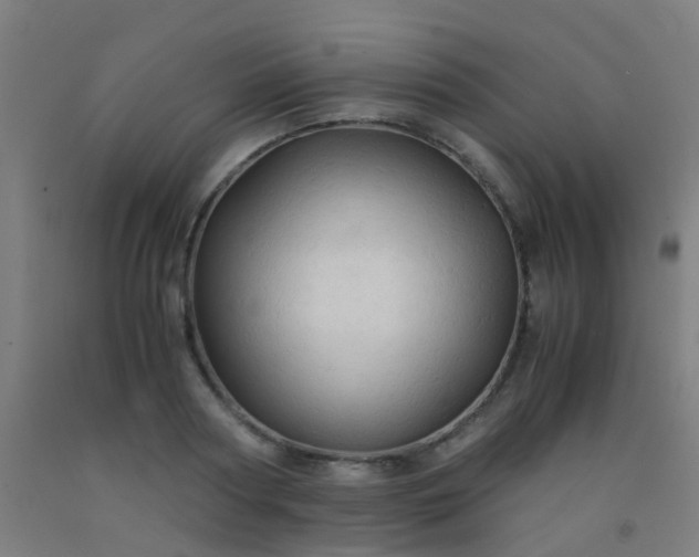 X0000092310794200709281345