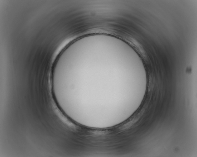 X0000092310796200709281345