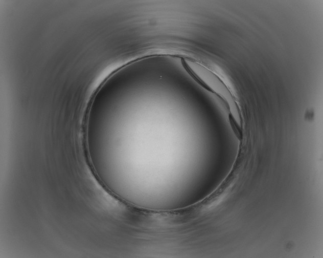 X0000092310803200709281345