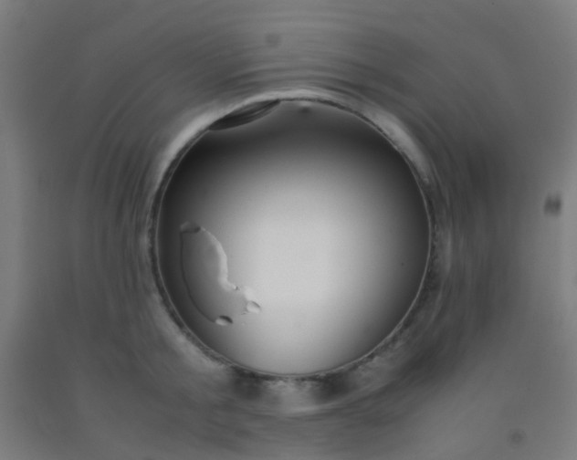 X0000092310805200709281345